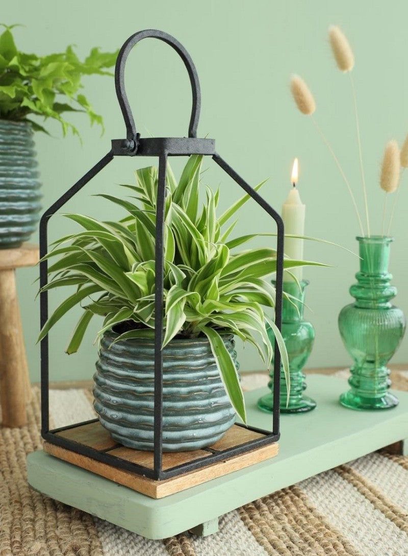 Vaso Verde Scuro Rise Ø6,5 x h: 8 cm (12 pz) [IFS-33952]