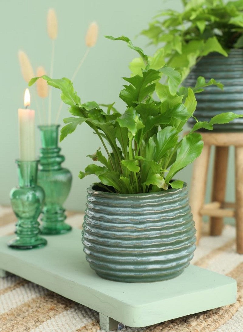 Vaso Verde Scuro Rise Ø10 x h: 13,5 cm (6 pz) [IFS-33954]