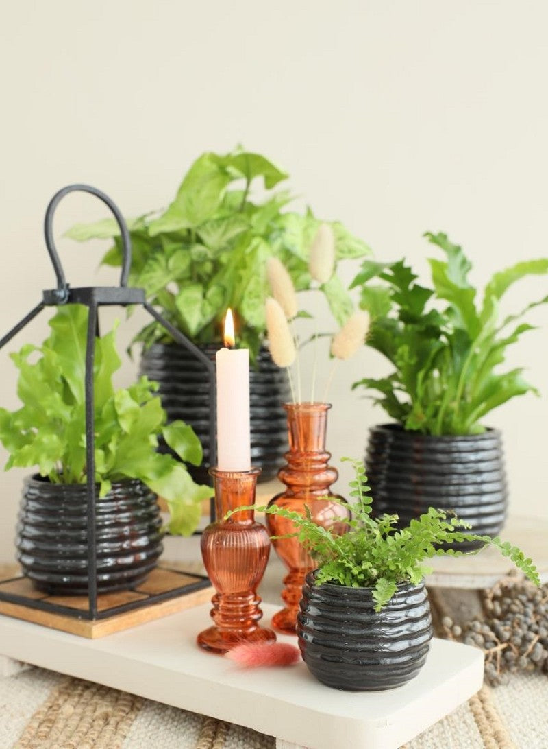 Pentola Nero Antracite Aumento Ø8,5 x h: 11,5 cm (9 pz) [IFS-33973]