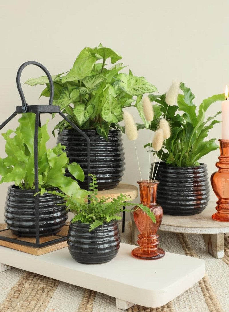 Pentola Nero Antracite Aumento Ø13 x h: 15,5 cm (4 pz) [IFS-33975]