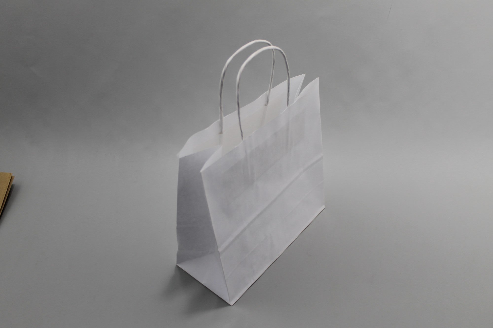 Paper Carrier Bags White 18x8x22cm Kraft 90 g/gm with twisted handles