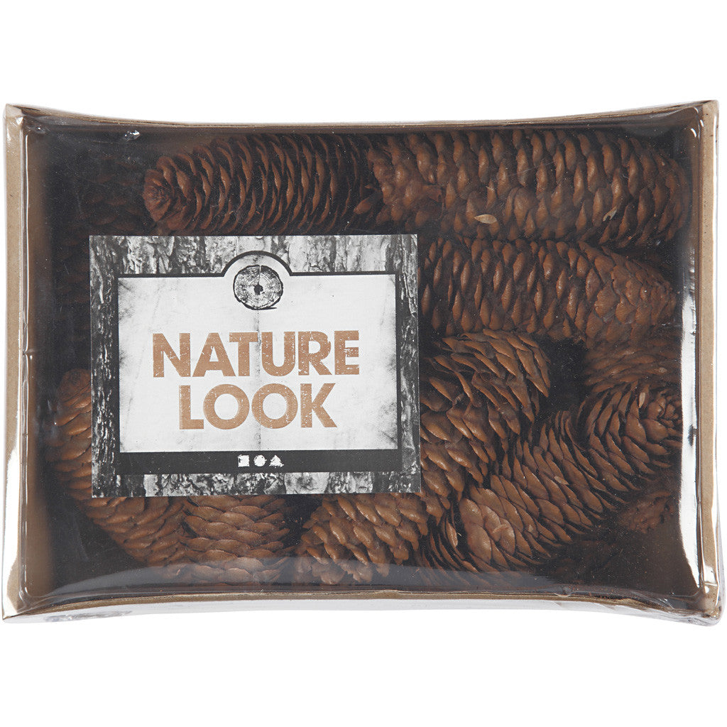 Pigne, diam 40 mm, ca. 14 pz, 300 g/ 1 conf. [HOB-50236]