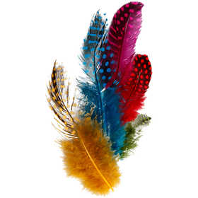Piume di faraona, colori asst., 3g/ 1 conf. [HOB-51813]