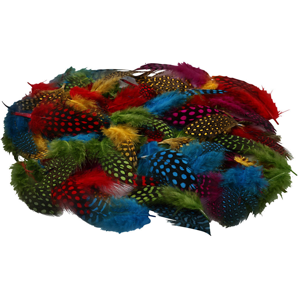 Piume di faraona, colori asst., 3g/ 1 conf. [HOB-51813]