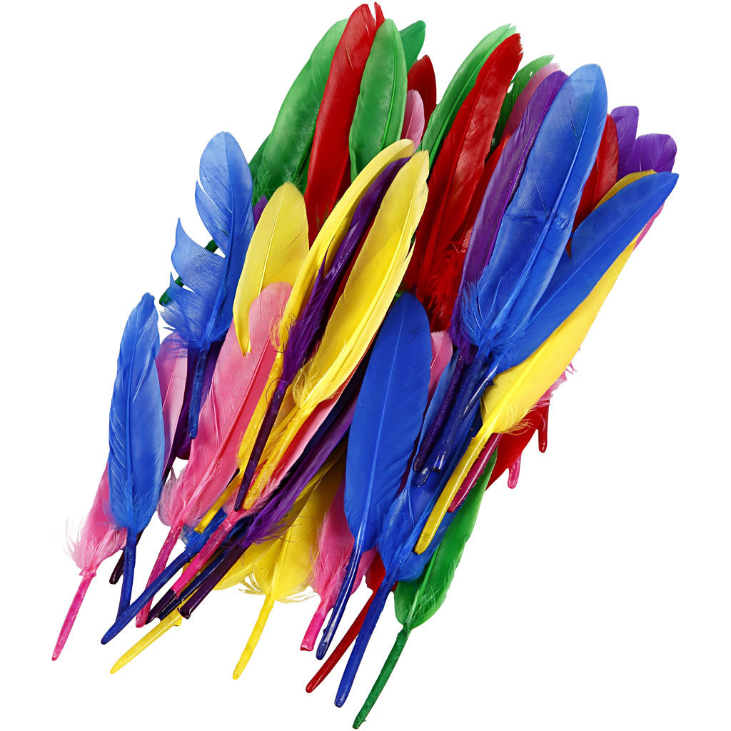 Piume, L: 13 cm, colori asst., 48 pz/ 1 conf. [HOB-51817]