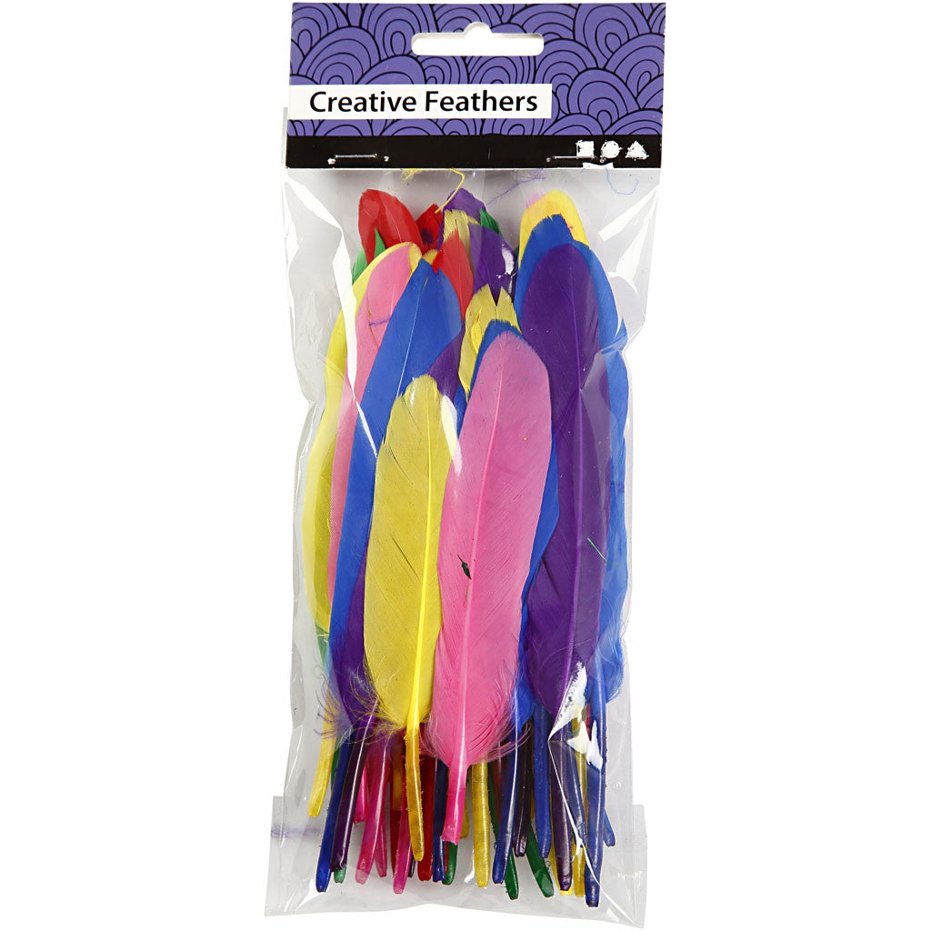 Piume, L: 13 cm, colori asst., 48 pz/ 1 conf. [HOB-51817]