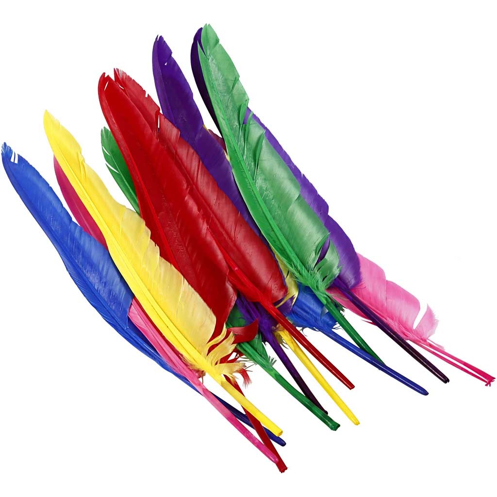 Piume, L: 27 cm, colori asst., 12 pz/ 1 conf. [HOB-51819]