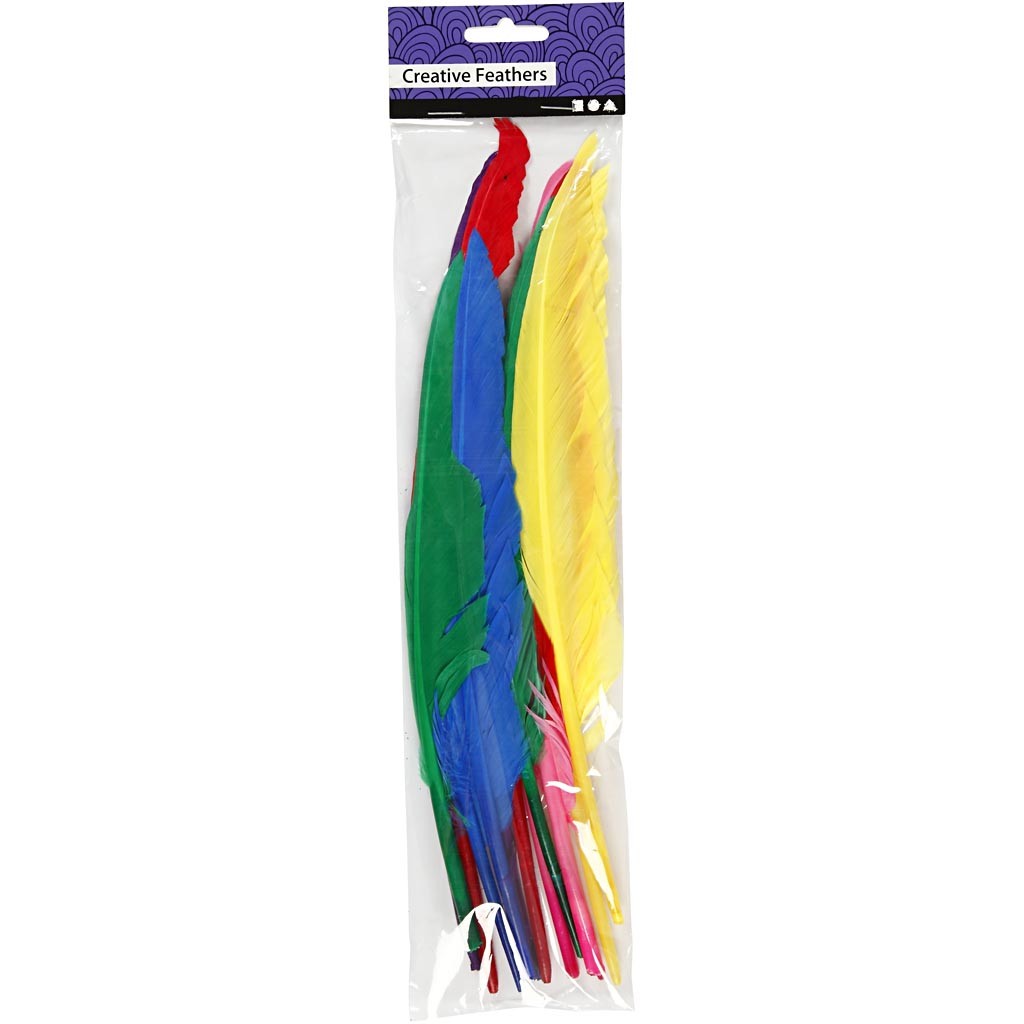Piume, L: 27 cm, colori asst., 12 pz/ 1 conf. [HOB-51819]