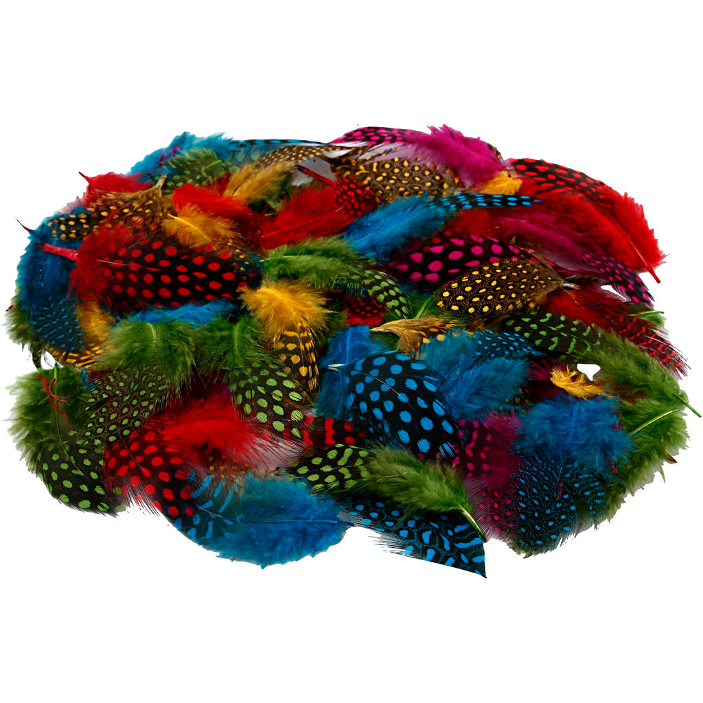 Guinea fowl feathers, ca. 1500 pc, assorted colours, 50 g