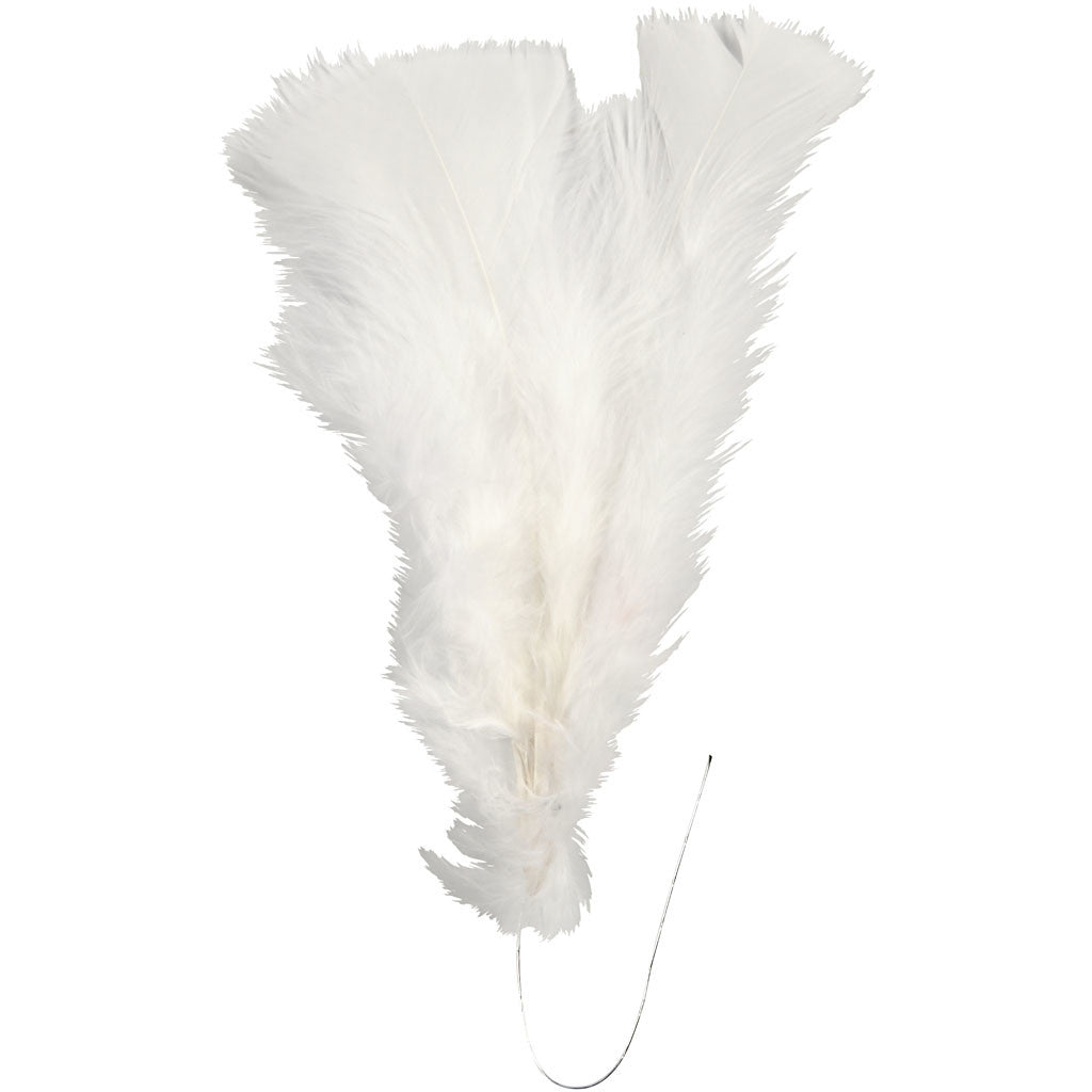 Piume, L: 11-17 cm, bianco, 18 pacch./ 1 conf. [HOB-51847]
