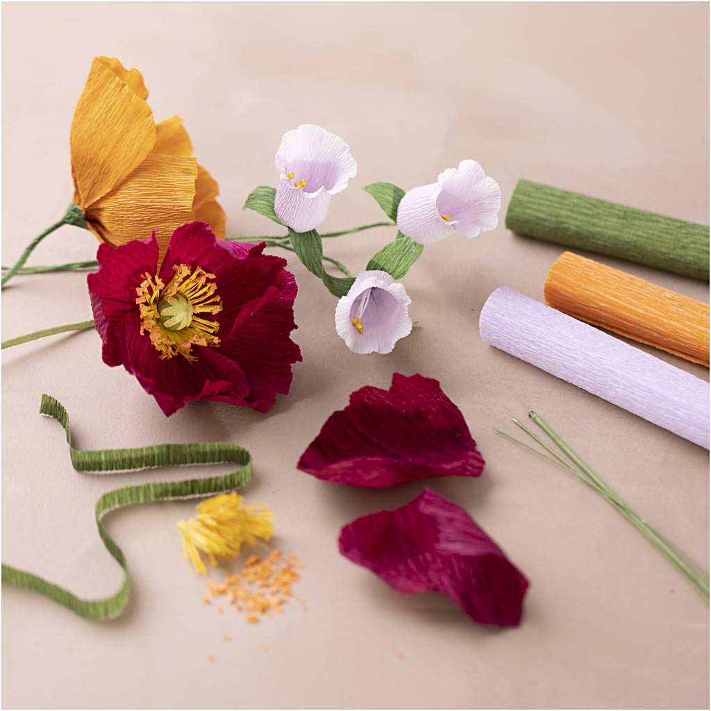Kit Fai da te Principiante Carta Crespa, colori asst., 1 conf. [HOB-97738]
