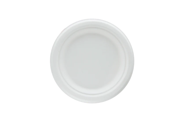 Plate Sugarcane Ø17.5cm (1.000 pcs)