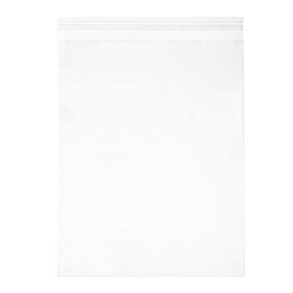 Sacchetto di plastica trasparente 29x36cm con chiusura adesiva (100 pezzi) [B11]