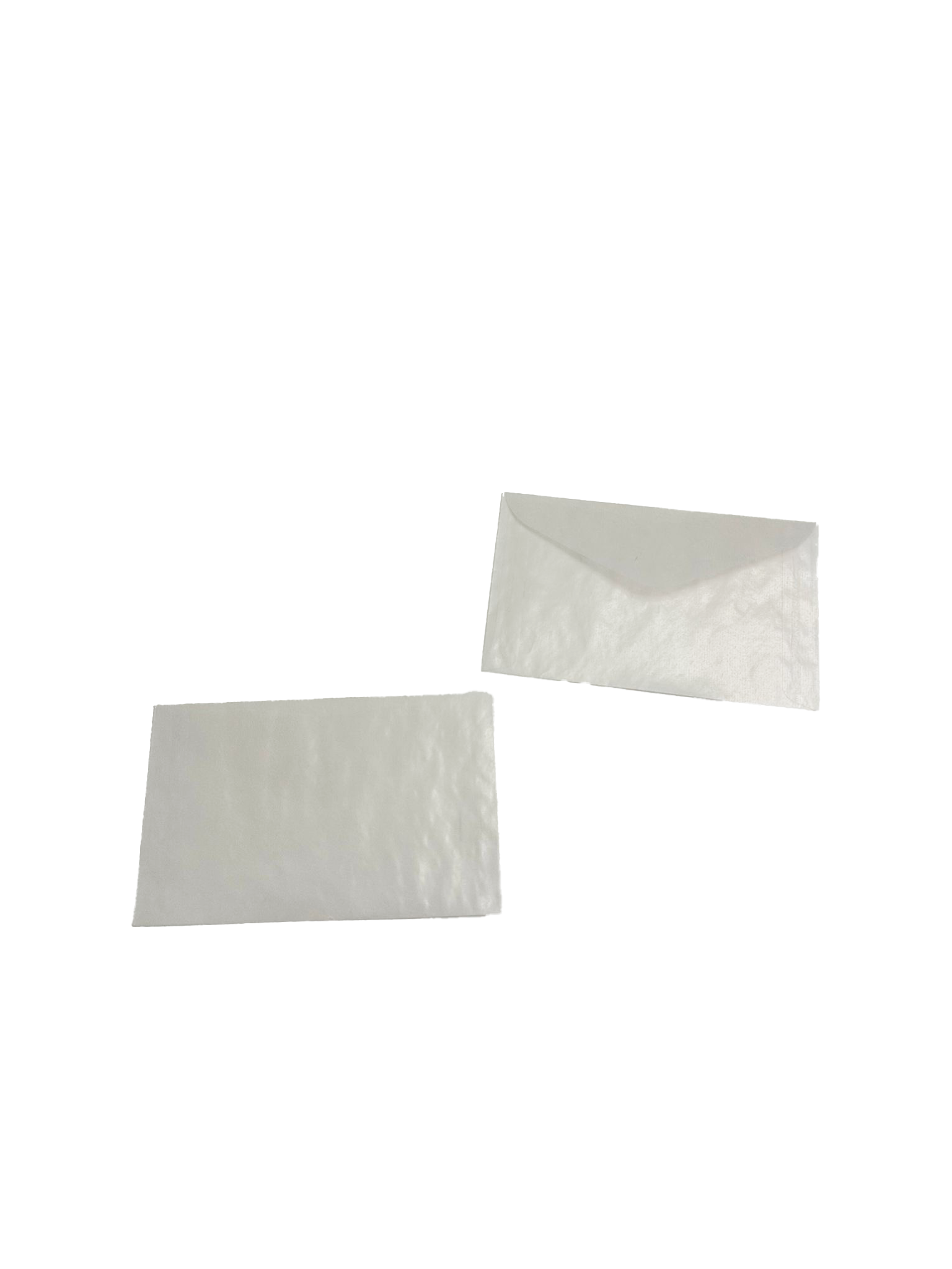 Sacchetto in carta pergamena 13x8cm (100 pezzi) [G19]