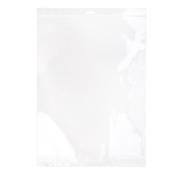 Sacchetti con foro di sospensione 31.1x38.1cm richiudibili e trasparenti (100 pezzi) [HB1215S]