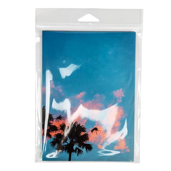 Sacchetti con foro di sospensione 14.8x19.1cm con chiusura di protezione (100 pezzi) [HB7B2PC]