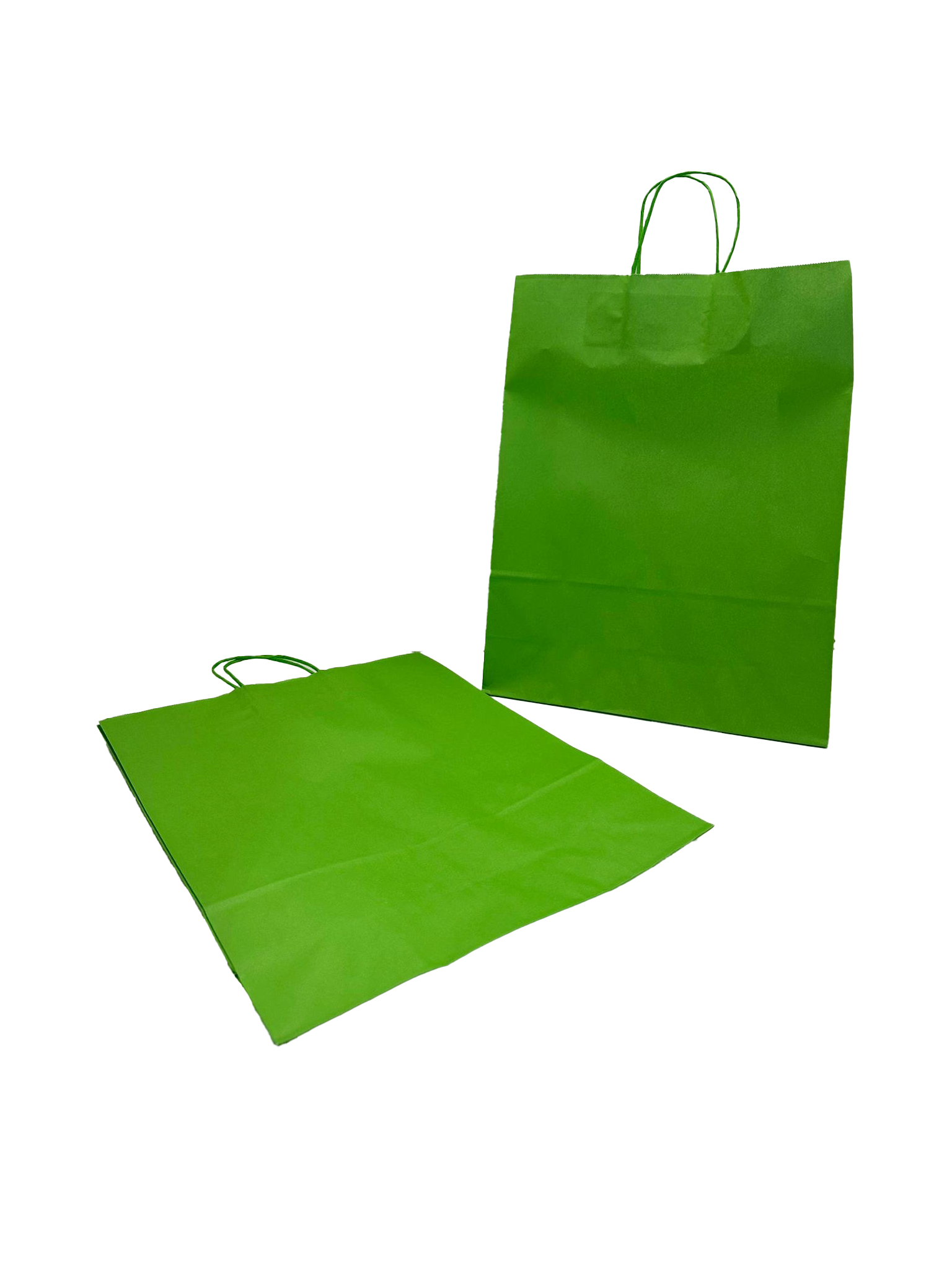 Shopper di carta colore verde 32+12x41cm Kraft 100 grammi (50 pezzi) [PAM3241GR]