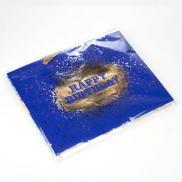 Sacchetto di plastica trasparente 28.6x35.9cm con chiusura adesiva (100 pezzi) [B11S]