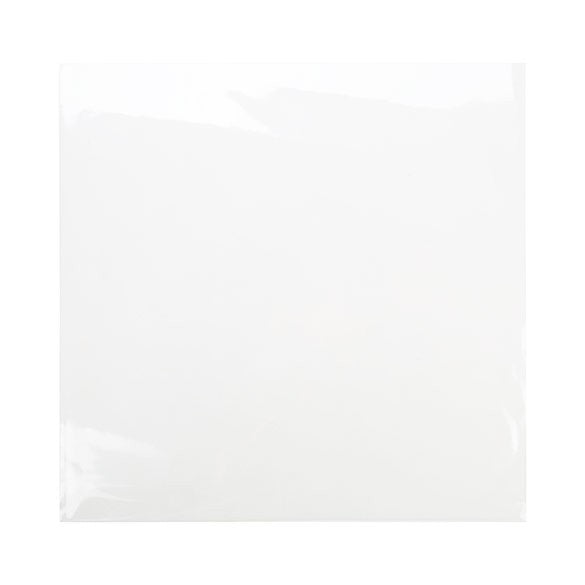 Sacchetto di plastica trasparente 31,6x31,1cm (100 pezzi) [B12X12NF]
