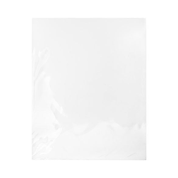 Sacchetto di plastica trasparente 41.7x51.5cm (100 pezzi) [B16NF]