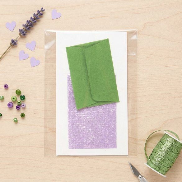 Sacchetto di plastica trasparente 4.6x7.9cm (100 pezzi) [B1H3NF]