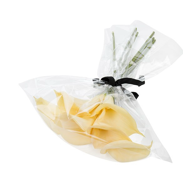 Sacchetto di plastica trasparente 51,9x62cm (100 pezzi) [B20NF]