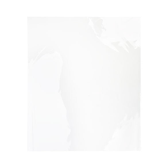 Sacchetto di plastica trasparente 57x72cm trasparente (100 pezzi) [B22NF]