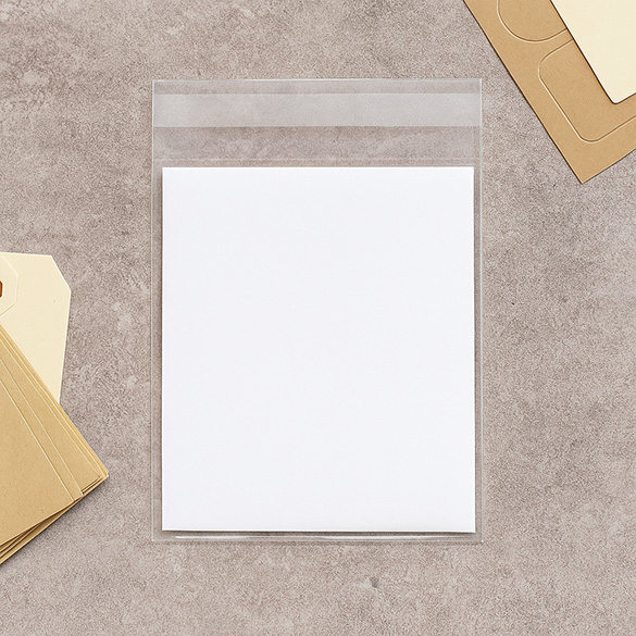 Sacchetto di plastica trasparente 9.2x14.6cm con chiusura adesiva (100 pezzi) [B35M]