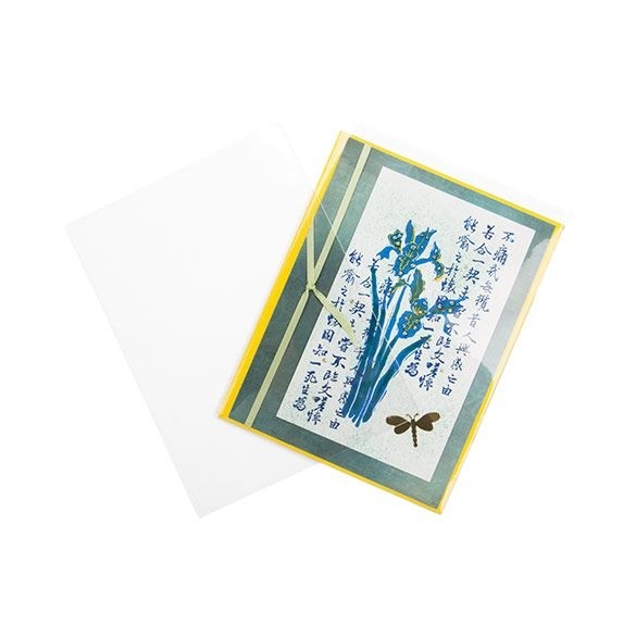 Sacchetto di plastica trasparente 11x14.5cm (100 pezzi) [B4B5NF]