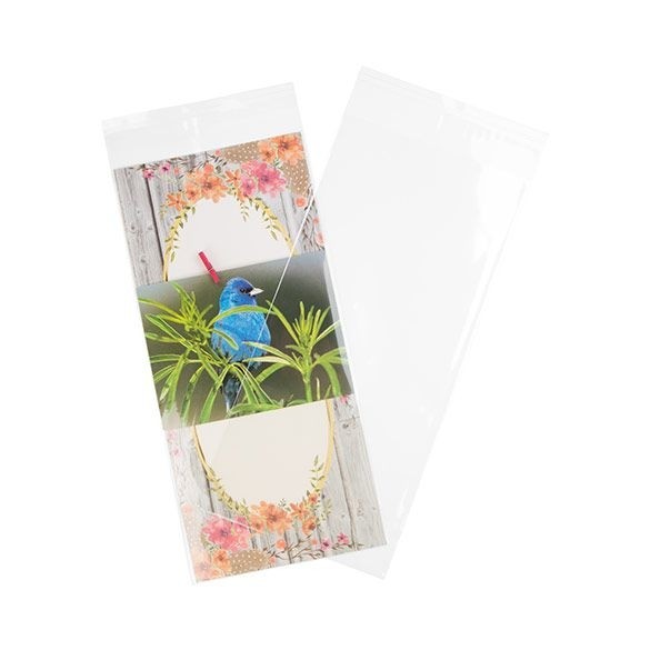 Sacchetto di plastica trasparente 14,5x30,6cm con chiusura adesiva (100 pezzi) [B512]