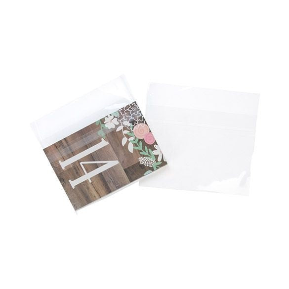 Sacchetto di plastica trasparente 17,3x12,7cm richiudibile (100 pezzi) [B56PC]