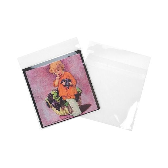 Sacchetto di plastica trasparente 17x16,7cm con chiusura adesiva (100 pezzi) [B6X6MPC]