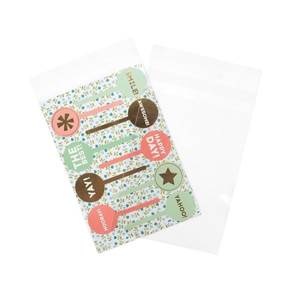 Sacchetto di plastica trasparente 15,3x22,9cm con chiusura adesiva (100 pezzi) [B6X9SPC]