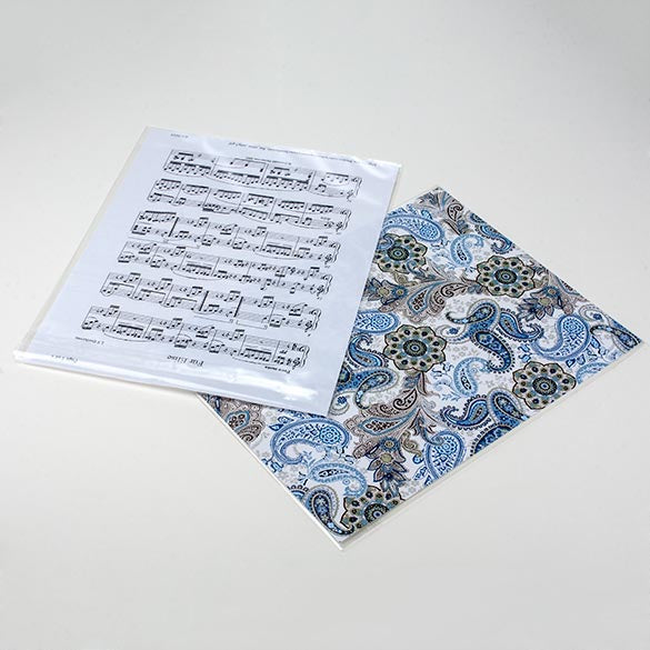 Sacchetto di plastica trasparente 22x28cm con chiusura adesiva (100 pezzi) [B811S]