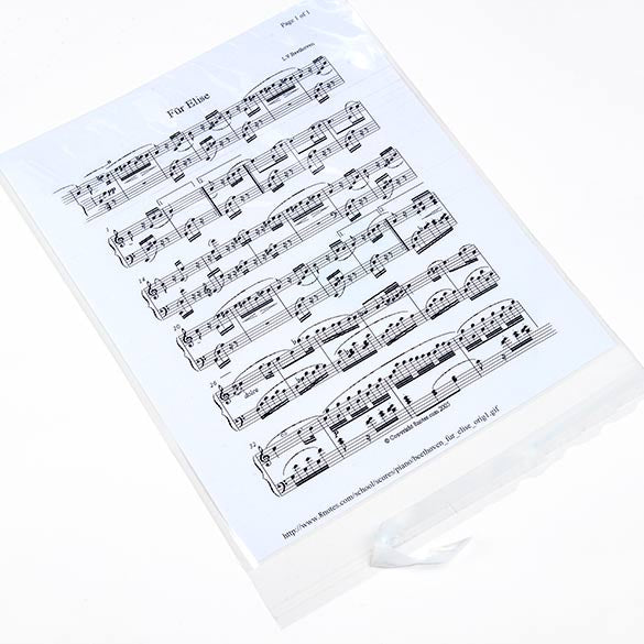Sacchetto di plastica trasparente 22x28cm con chiusura adesiva (100 pezzi) [B811S]