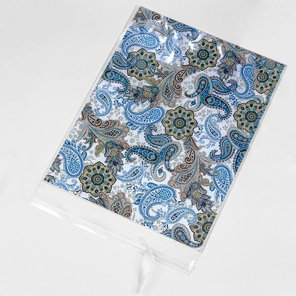 Sacchetto di plastica trasparente 22x28cm con chiusura adesiva (100 pezzi) [B811S]