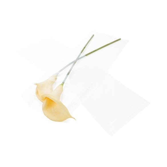 Sacchetto di plastica trasparente 21,9x59,7cm con chiusura adesiva (100 pezzi) [B823]