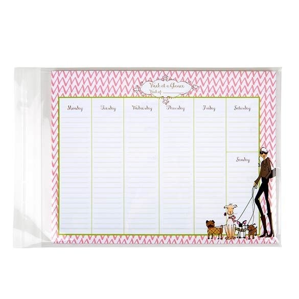 Sacchetto di plastica trasparente 22.9x30.5cm con chiusura adesiva (100 pezzi) [B912]