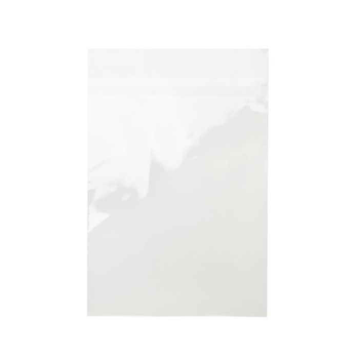 Sacchetto di plastica trasparente 25.2x33.7cm senza patta adesiva (100 pezzi) [B913XPC]