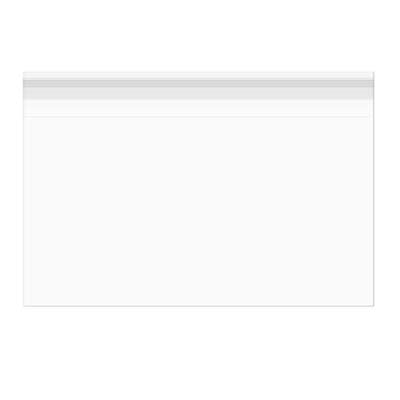 Sacchetto di plastica trasparente 23,5x15,9cm laminato e richiudibile (100 pezzi) [LB69]