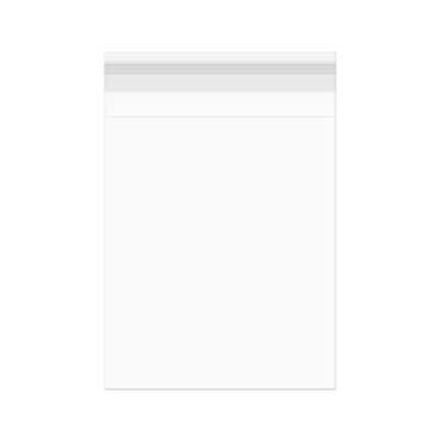 Sacchetto di plastica trasparente 28.6x35.9cm con chiusura adesiva (100 pezzi) [B11S]