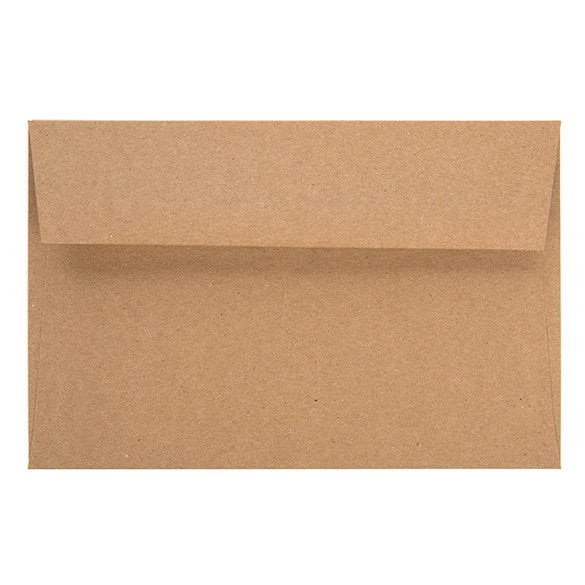 Buste marroni 22.2x14.6cm (50 pezzi) [EB40]