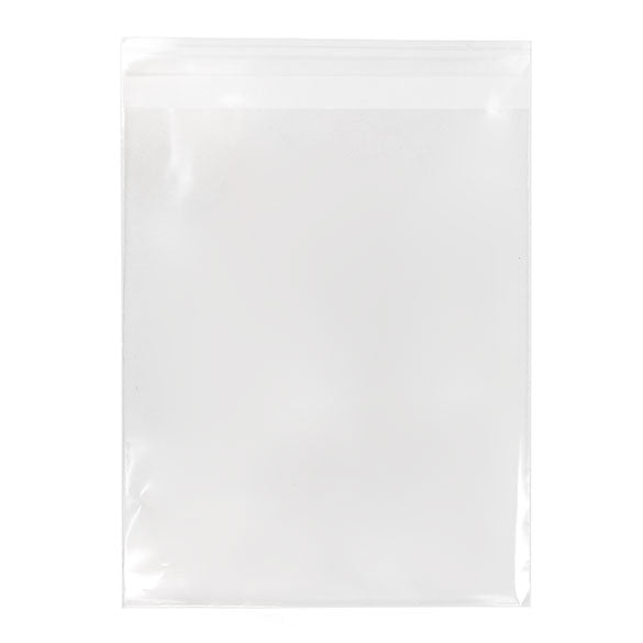 Sacchetto ecologico con soffietto 21.4x26cm qualità Premium richiudibile (100 pezzi) [GC108]