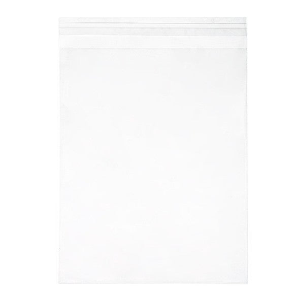 Sacchetto di plastica trasparente 21x25,7cm con chiusura adesiva (100 pezzi) [B108S]