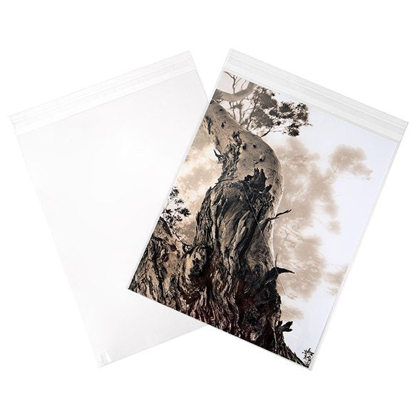 Sacchetto di plastica trasparente 22x28cm con chiusura adesiva (100 pezzi) [B811S]