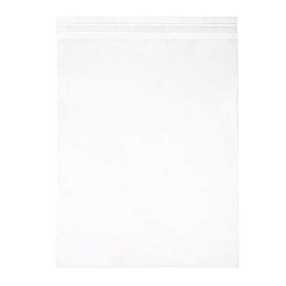 Sacchetto di plastica trasparente 28.6x35.9cm con chiusura adesiva (100 pezzi) [B11S]