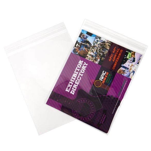 Sacchetto di plastica trasparente 22x28cm con chiusura adesiva (100 pezzi) [B811S]