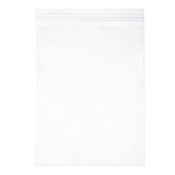 Sacchetto di plastica trasparente 22x28cm con chiusura adesiva (100 pezzi) [B811S]