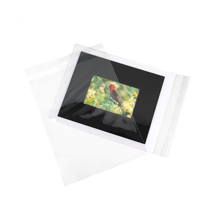 Plastic Bags 24x31.2cm Transparent Peel and Seal