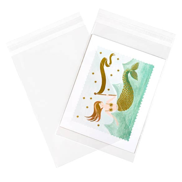 Sacchetto di plastica trasparente 41.7x51cm con chiusura adesiva (250 pezzi) [VL16]